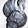Hermet Crab Shell, charcoal, 1988
